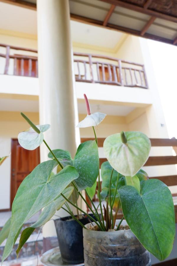 Tlshaw Homestay Хенерал Луна Екстериор снимка